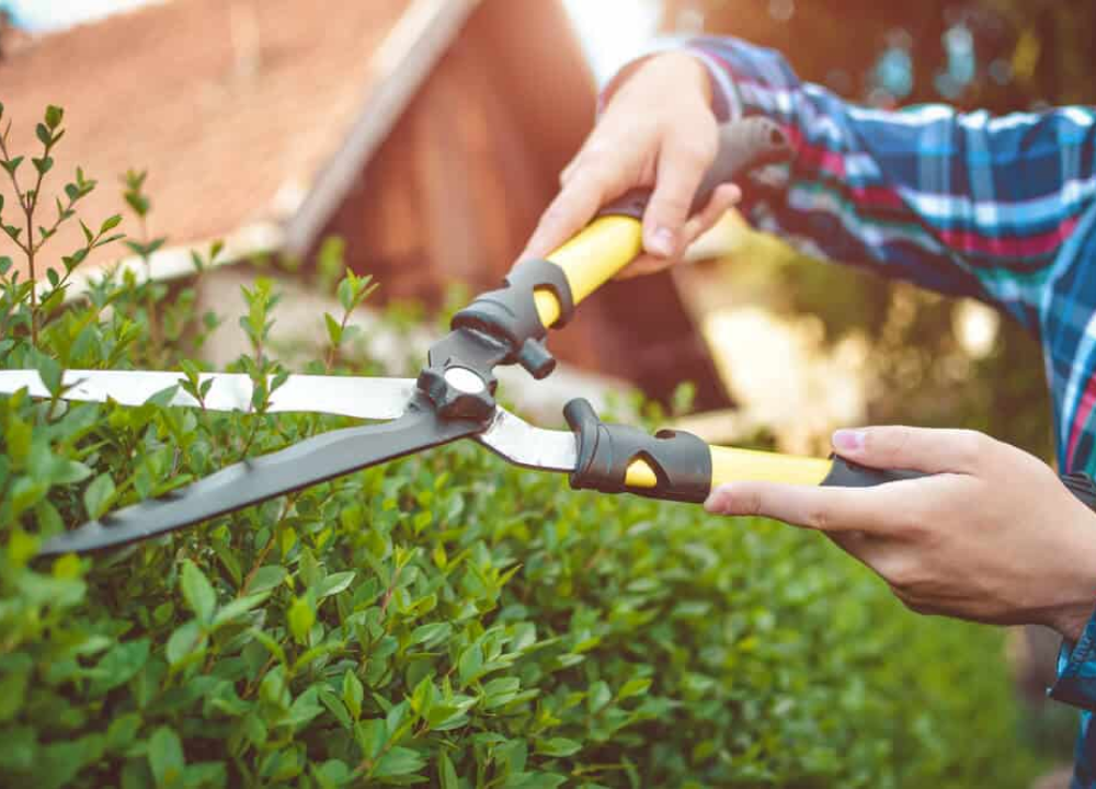 cutting tools